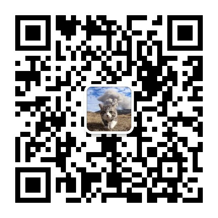 Maan Xlong 微信支付